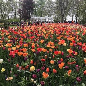 Meet your Posher, Mara